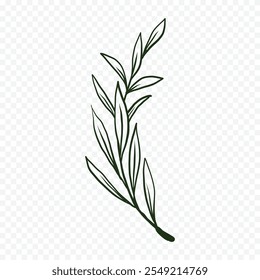 Hand drawn spring flowers illustration. floral illustration