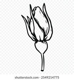 Hand drawn spring flowers illustration. floral illustration