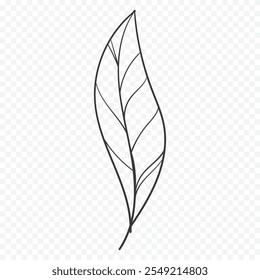 Hand drawn spring flowers illustration. floral illustration