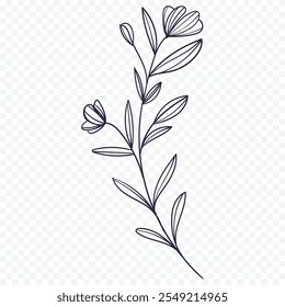 Hand drawn spring flowers illustration. floral illustration