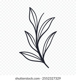 Hand drawn spring flowers illustration. floral illustration