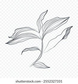 Hand drawn spring flowers illustration. floral illustration