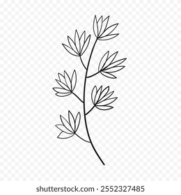 Hand drawn spring flowers illustration. floral illustration