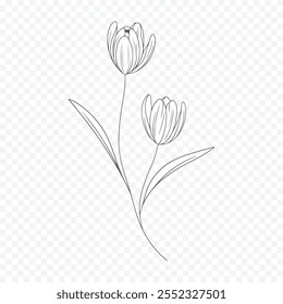 Hand drawn spring flowers illustration. floral illustration