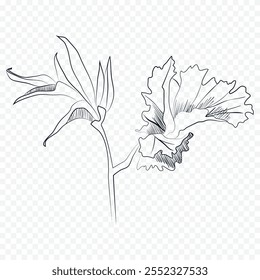 Hand drawn spring flowers illustration. floral illustration