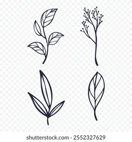 Hand drawn spring flowers illustration. floral illustration