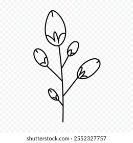 Hand drawn spring flowers illustration. floral illustration