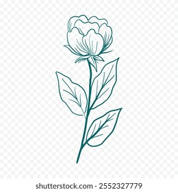 Hand drawn spring flowers illustration. floral illustration