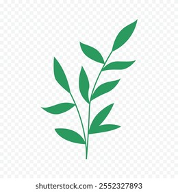 Hand drawn spring flowers illustration. floral illustration
