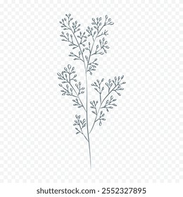 Hand drawn spring flowers illustration. floral illustration