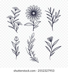 Hand drawn spring flowers illustration. floral illustration