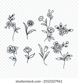 Hand drawn spring flowers illustration. floral illustration