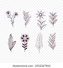 Hand drawn spring flowers illustration. floral illustration