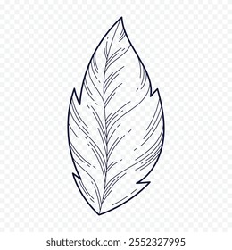 Hand drawn spring flowers illustration. floral illustration