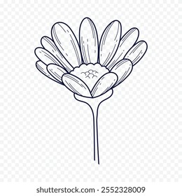 Dibujado a mano ilustración de flores de primavera. ilustración floral