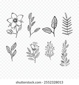 Handgezeichnete Frühlingsblumen Illustration. Blumengrafik