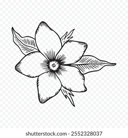 Dibujado a mano ilustración de flores de primavera. ilustración floral