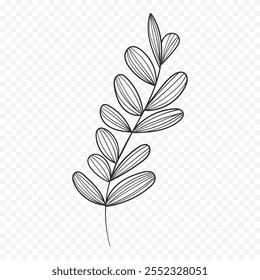 Dibujado a mano ilustración de flores de primavera. ilustración floral