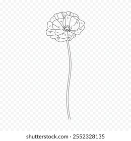 Hand drawn spring flowers illustration. floral illustration
