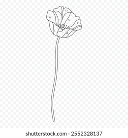Hand drawn spring flowers illustration. floral illustration