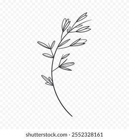 Hand drawn spring flowers illustration. floral illustration