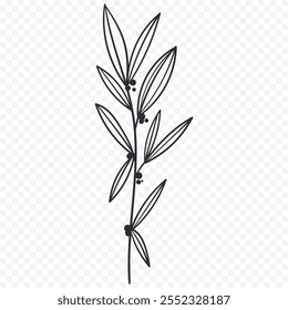 Hand drawn spring flowers illustration. floral illustration