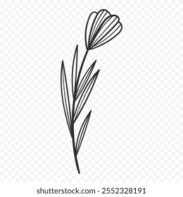 Hand drawn spring flowers illustration. floral illustration