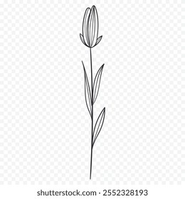 Hand drawn spring flowers illustration. floral illustration
