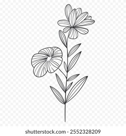 Dibujado a mano ilustración de flores de primavera. ilustración floral