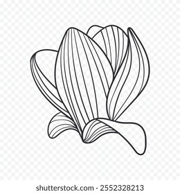 Hand drawn spring flowers illustration. floral illustration