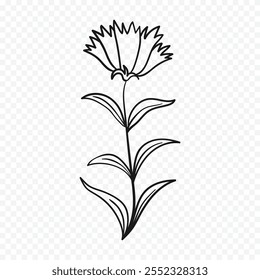 Dibujado a mano ilustración de flores de primavera. ilustración floral