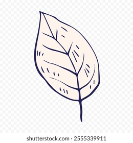 Hand drawn spring flowers illustration. floral illustration