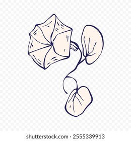 Hand drawn spring flowers illustration. floral illustration