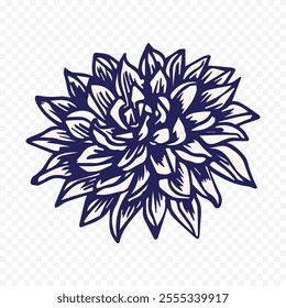 Hand drawn spring flowers illustration. floral illustration