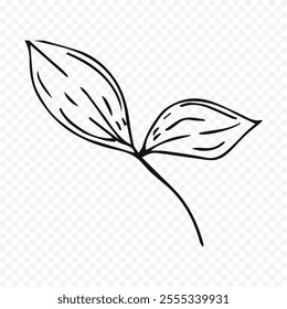 Hand drawn spring flowers illustration. floral illustration