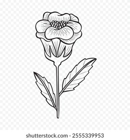 Hand drawn spring flowers illustration. floral illustration