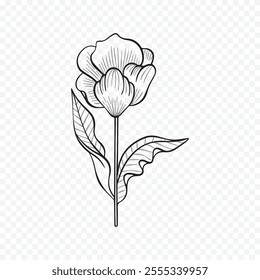 Hand drawn spring flowers illustration. floral illustration