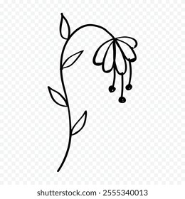 Hand drawn spring flowers illustration. floral illustration