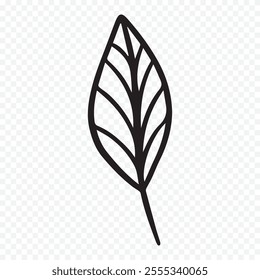 Hand drawn spring flowers illustration. floral illustration