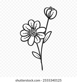 Hand drawn spring flowers illustration. floral illustration