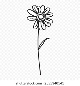 Hand drawn spring flowers illustration. floral illustration
