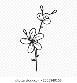 Hand drawn spring flowers illustration. floral illustration