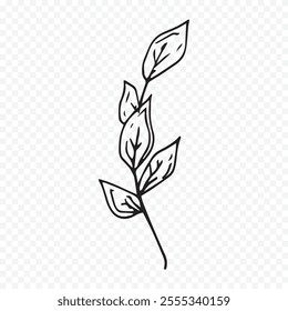 Hand drawn spring flowers illustration. floral illustration