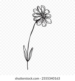 Hand drawn spring flowers illustration. floral illustration