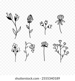 Hand drawn spring flowers illustration. floral illustration