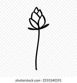 Hand drawn spring flowers illustration. floral illustration