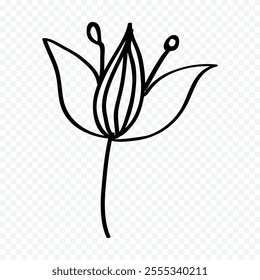 Hand drawn spring flowers illustration. floral illustration