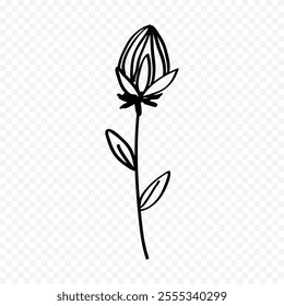 Hand drawn spring flowers illustration. floral illustration