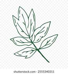 Hand drawn spring flowers illustration. floral illustration