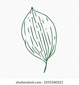 Hand drawn spring flowers illustration. floral illustration